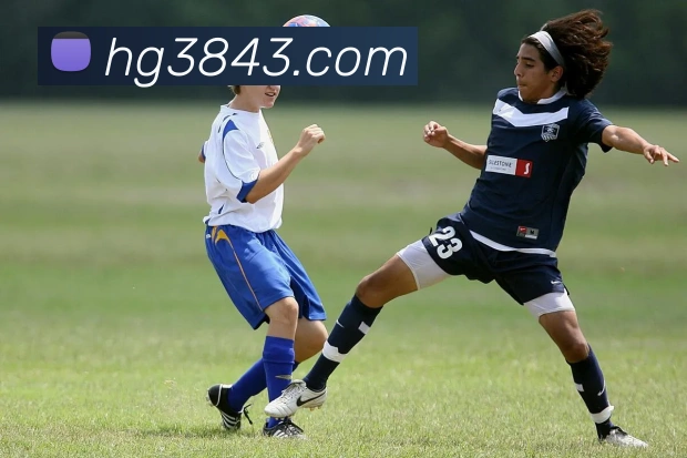 登录器